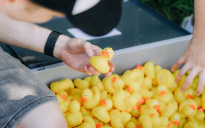 Quand les canards dansent et que les cœurs rient